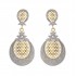 AD Stone Dangles  - Earring