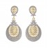 AD Stone Dangles  - Earring