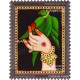 Parrot Tanjore Painting