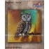 Owl Canvas Painting 