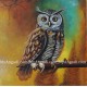 Owl Canvas Painting 