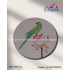 Pichwai Lotus Parrot Canvas Painting 