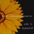  Motivational quotes Canvas Painting 