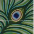 Peacock Feather Canvas Painting 
