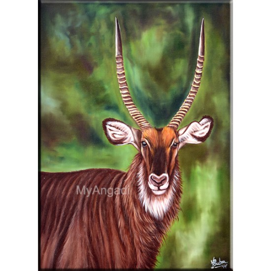 Deer Oil Paintings