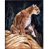 Oil Paintings Animals