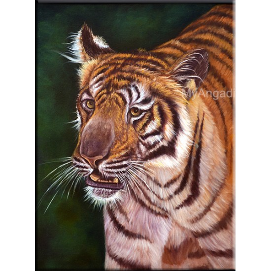 Tiger Oil Paintings