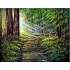 Golden Sunrays Oil Painting