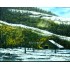 Snowfall Natural Scenary Oil Painting