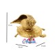 Conch On Tortoise Brass Statue Conch On Tortoise Brass Statue