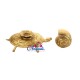 Conch On Tortoise Brass Statue Conch On Tortoise Brass Statue