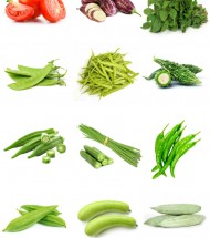 Seeds Seeds