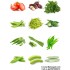 Vegetable Seeds - 12 Varieties - Basic Combo