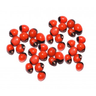 Mantra Siddha Chirmi Red Gunja Seeds for Lakshmi Upasna Sadhna Gurivinta Seeds - 21 Pieces Chirmi Beads